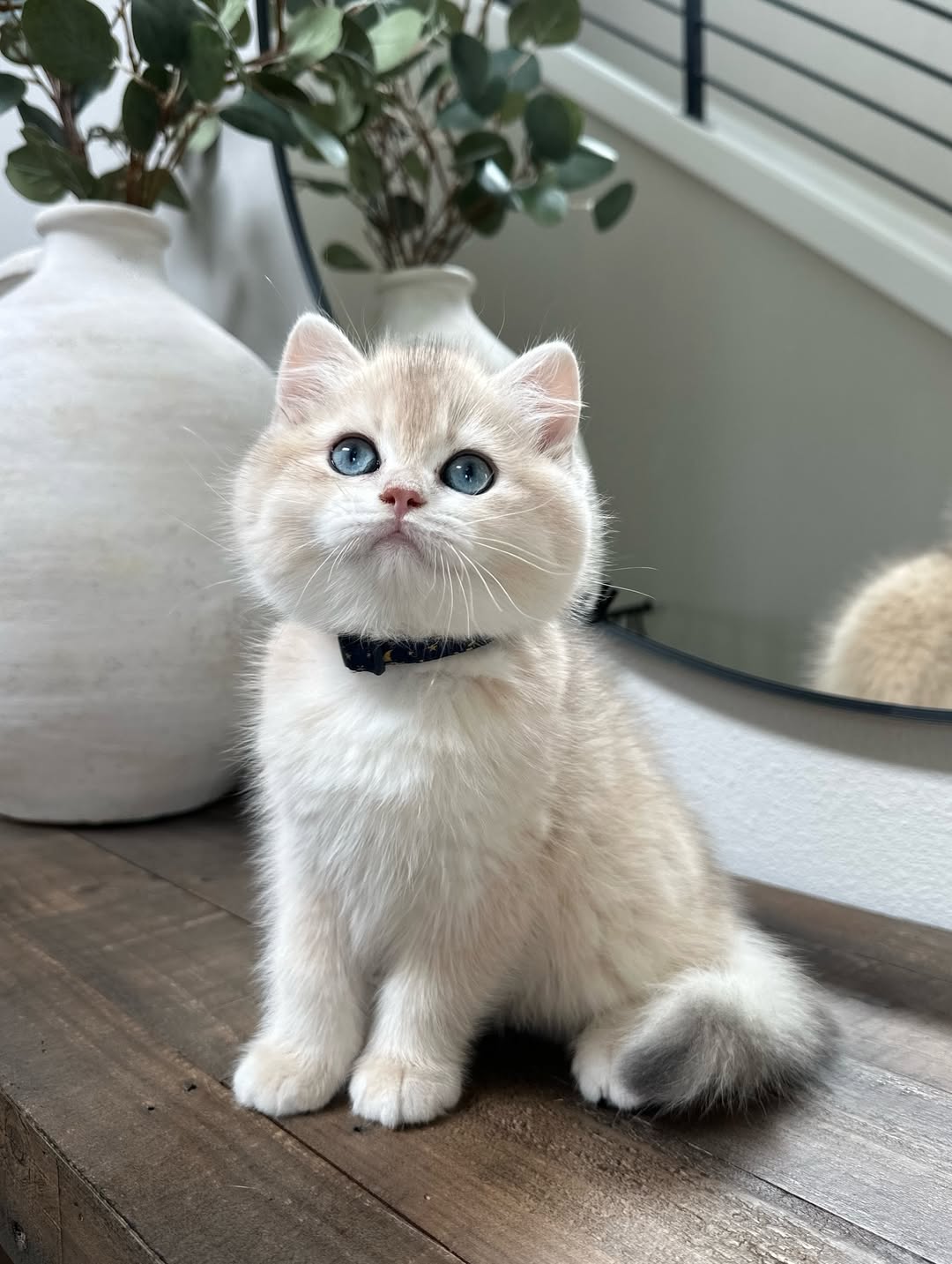 Kloe
